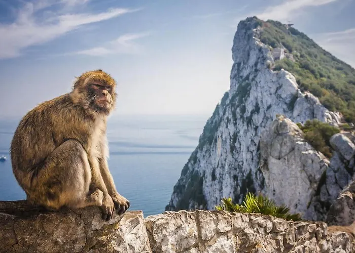 Elviria Hills * Marbella
